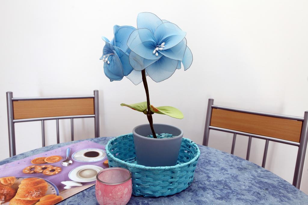 Parenzana Sea View Apartments Sk Πορτορόζ Εξωτερικό φωτογραφία